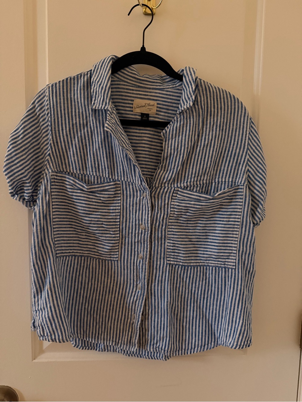Blue and White Striped Button-Front Shirt